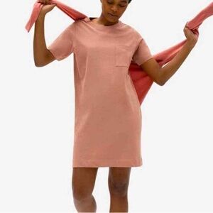 Everlane Short Sleeve Pocket Tee Dress in Dusty Pink